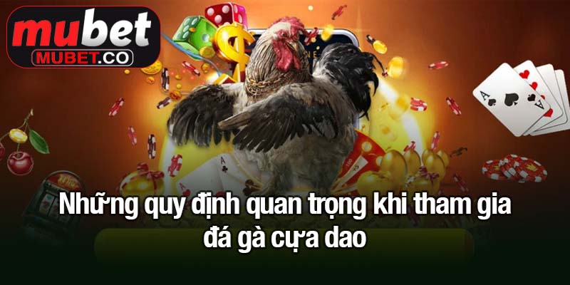 Những quy định quan trọng khi tham gia đá gà cựa dao