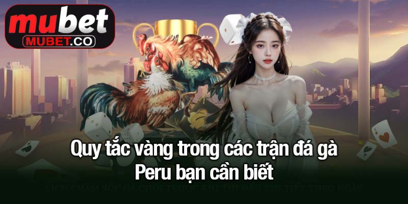 Quy tắc vàng trong các trận đá gà Peru bạn cần biết