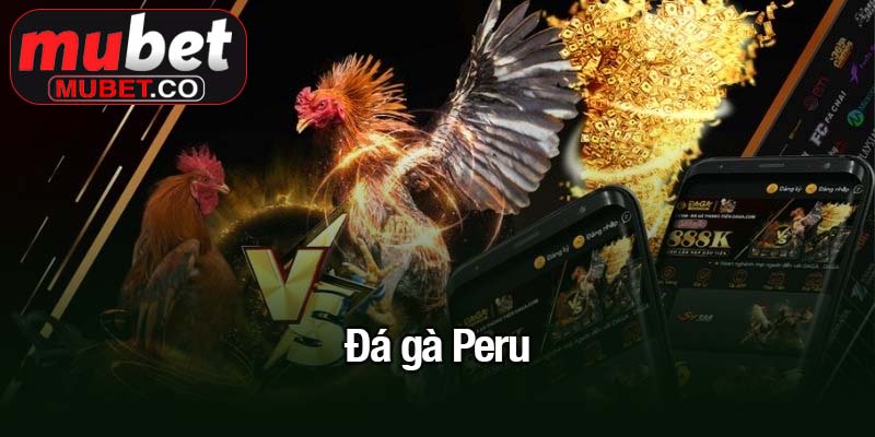 Đá gà Peru
